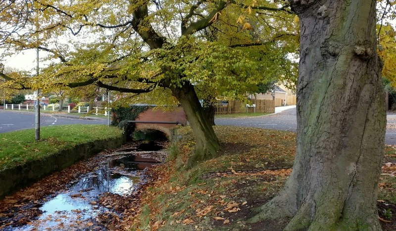 Cosby Brook in Cosby - geograph.org.uk - 5602315.jpg
