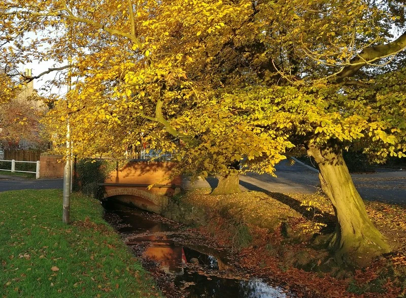 Cosby Brook in Cosby - geograph.org.uk - 5602316.jpg