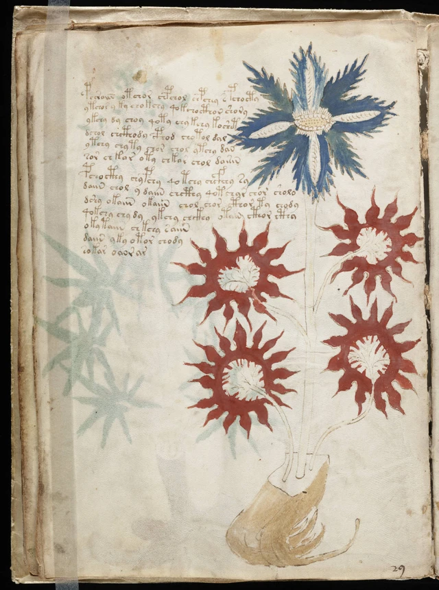 Image for Voynich Manuscript