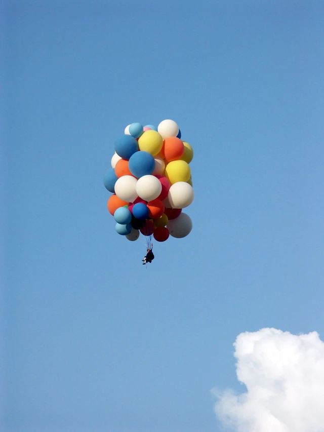 Image for Lawnchair Larry Flight